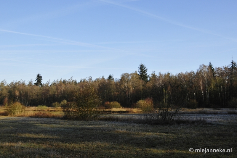 _DSC2070.JPG - De Pan Cranendonck