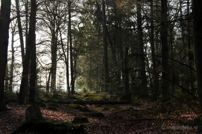 _DSC2080.JPG - De Pan Cranendonck