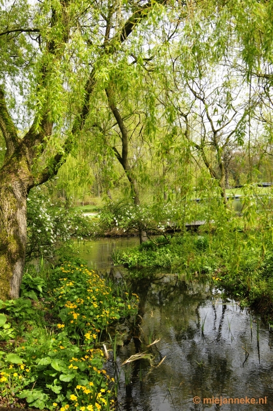 _DSC3876.JPG - Lente in Arcen