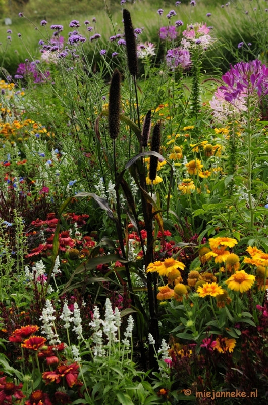 _DSC2191.JPG - Floriade 2012