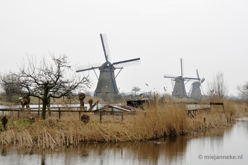 _DSC8870.JPG - Kinderdijk