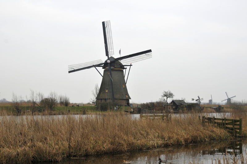 _DSC8909.JPG - Kinderdijk