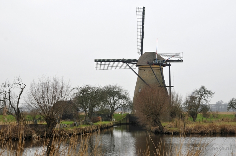 _DSC8923.JPG - Kinderdijk