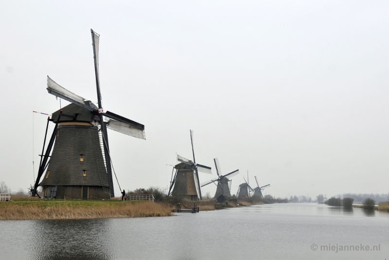 _DSC8950.JPG - Kinderdijk