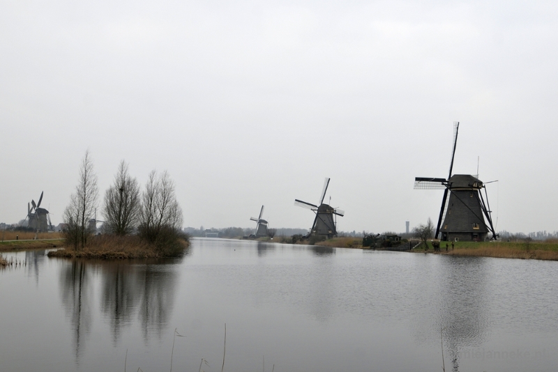 _DSC8958.JPG - Kinderdijk