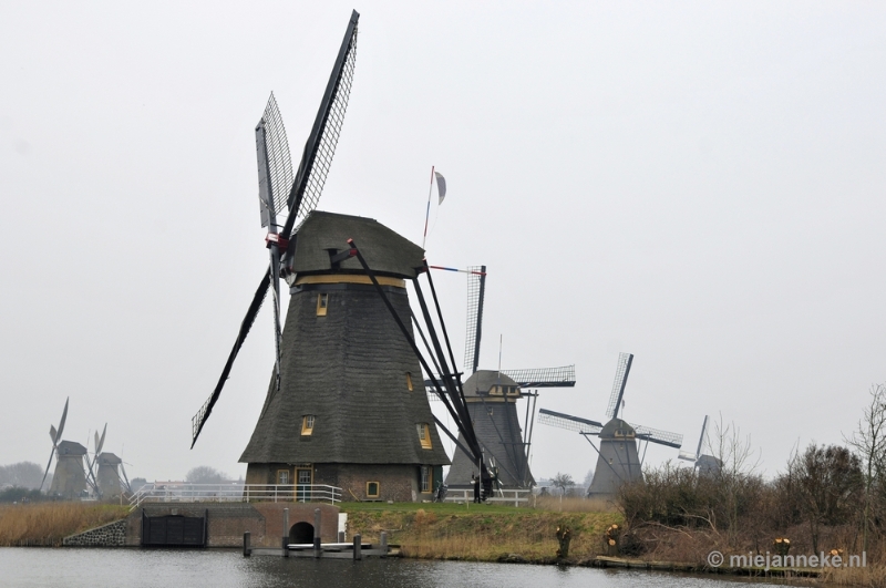 _DSC8983.JPG - Kinderdijk