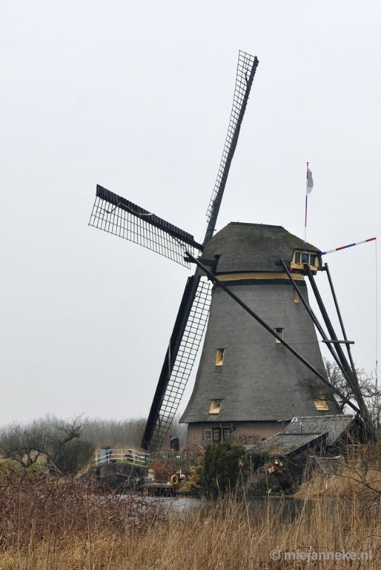 _DSC9005.JPG - Kinderdijk