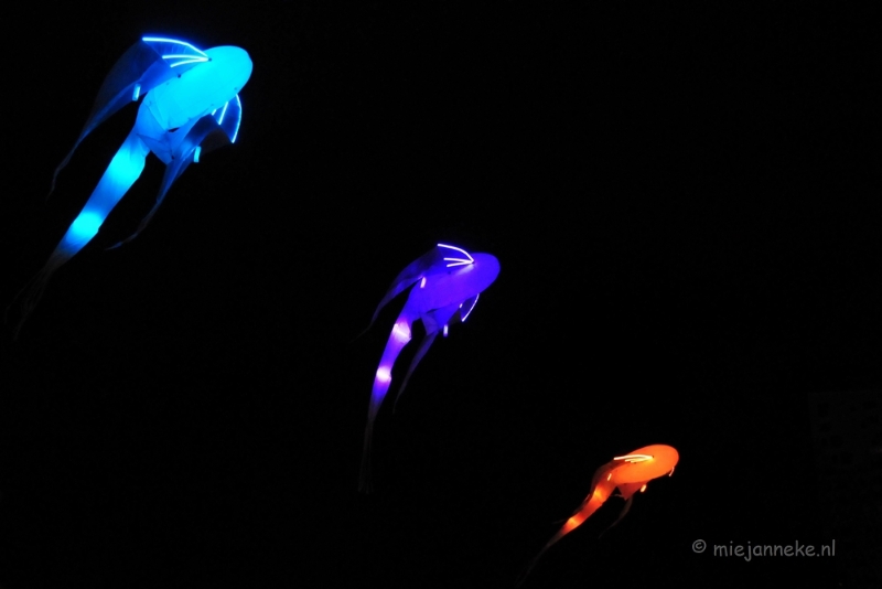 glow2013 30.JPG - Glow Eindhoven 2013