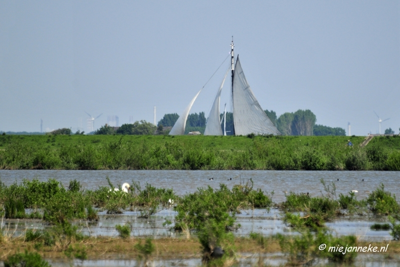 _DSC3816.JPG - Tiengemeten