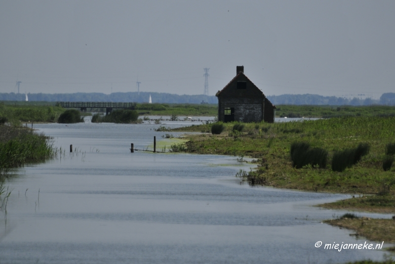 _DSC3956.JPG - Tiengemeten