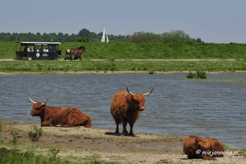 _DSC3985.JPG - Tiengemeten