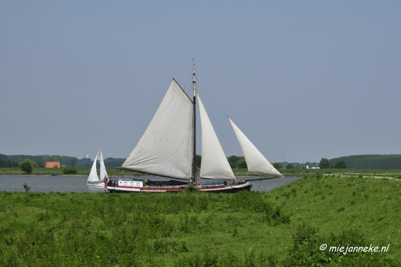 _DSC3991.JPG - Tiengemeten