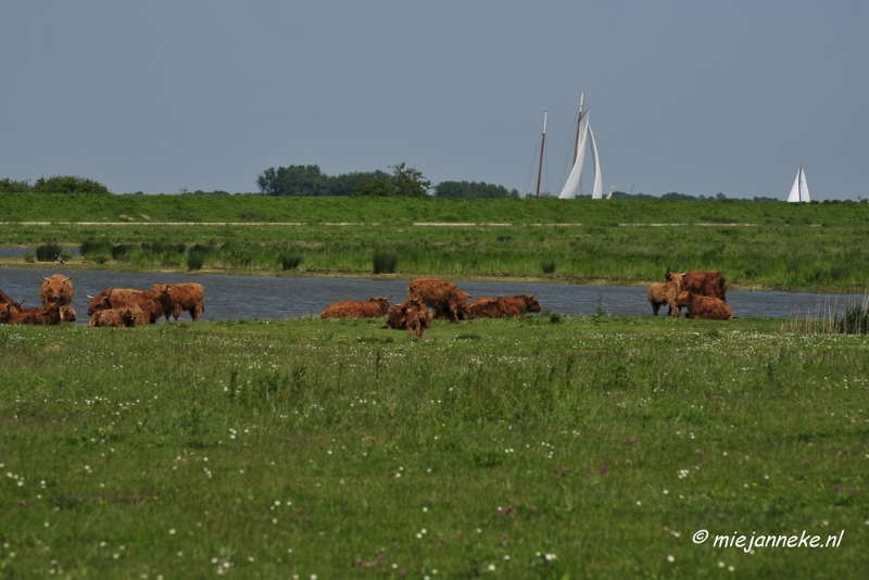 _DSC4160.JPG - Tiengemeten