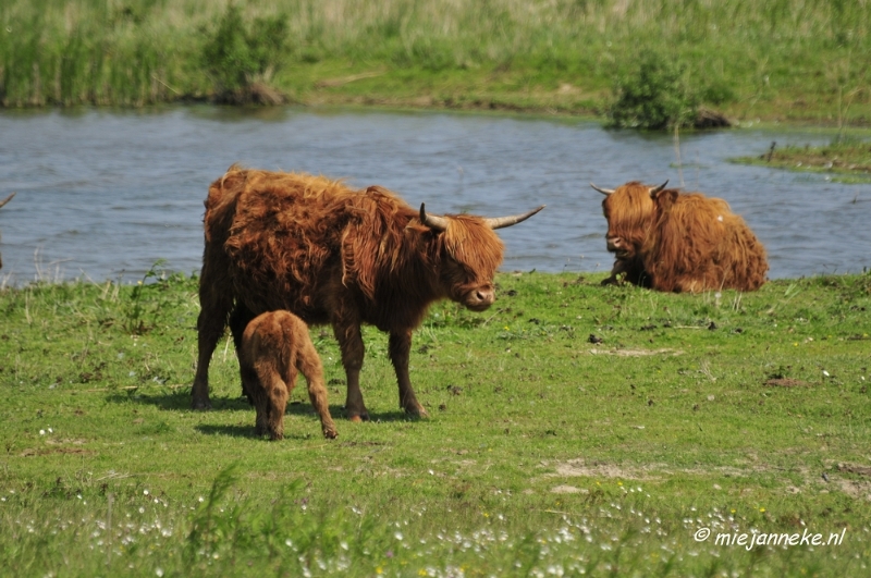 _DSC4172.JPG - Tiengemeten