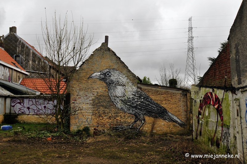 _DSC5977.JPG - Het verlaten dorp Doel