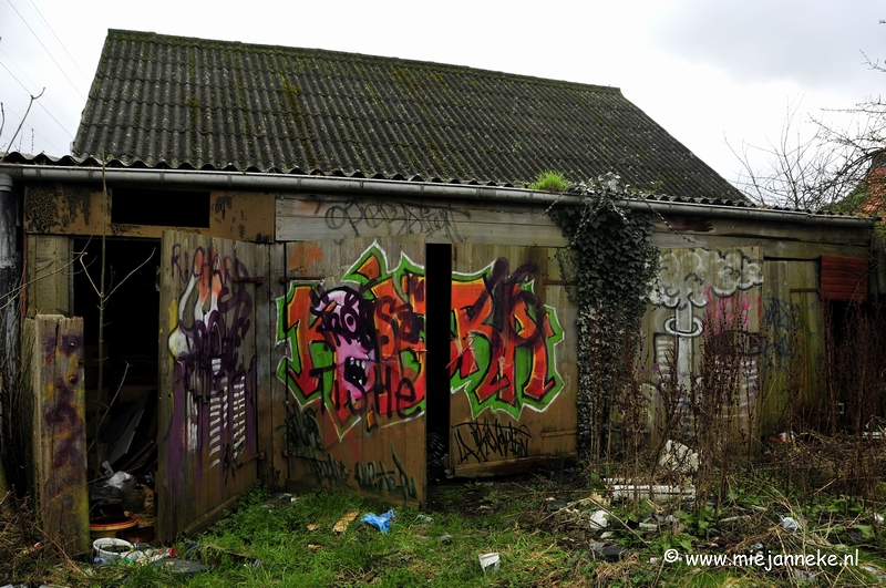 _DSC6082.JPG - Het verlaten dorp Doel