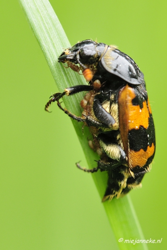 _DSC5180.JPG - Vroeg in de morgen