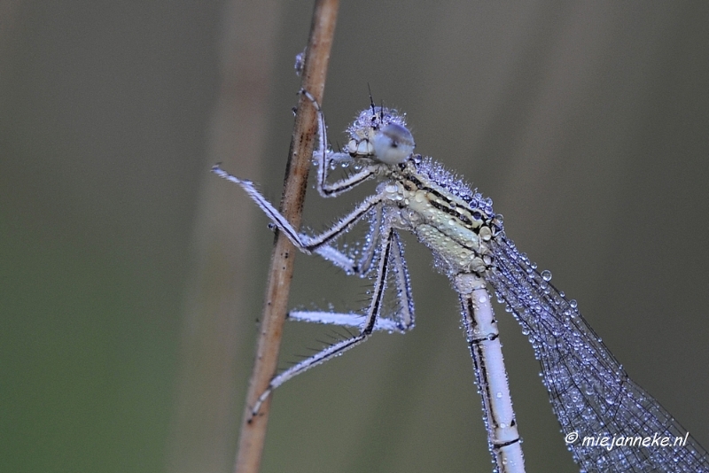 _DSC5569.JPG - Rondje Brabant