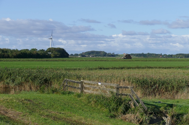 texel dag 1 2016_07.jpg - Texel dag 1