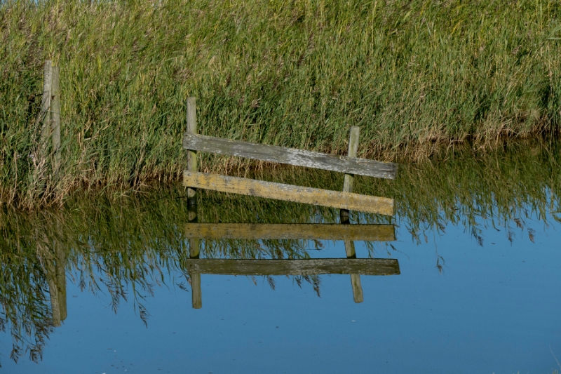 texel dag 1 2016_08.jpg - Texel dag 1