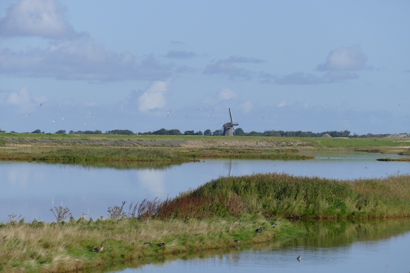 texel dag 1 2016_09.jpg - Texel dag 1