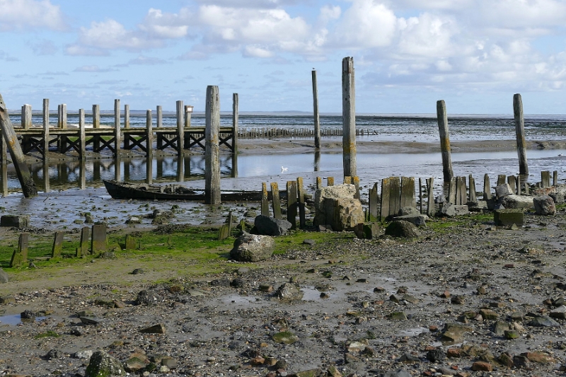 texel dag 1 2016_10.jpg - Texel dag 1