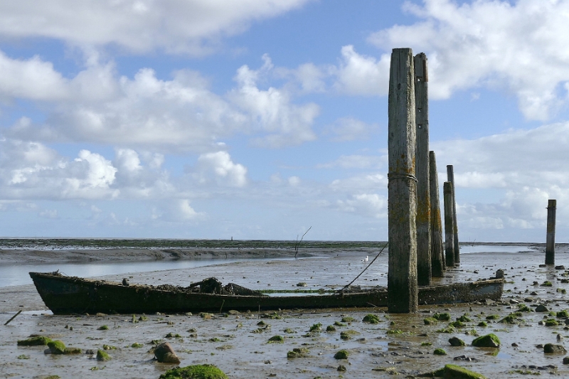 texel dag 1 2016_13.jpg - Texel dag 1