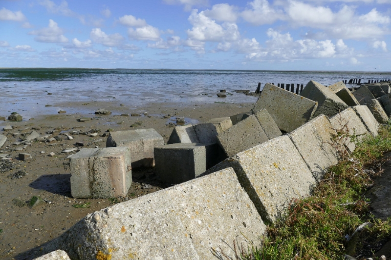 texel dag 1 2016_14.jpg - Texel dag 1