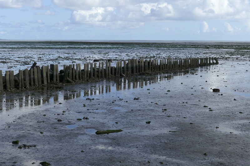 texel dag 1 2016_16.jpg - Texel dag 1