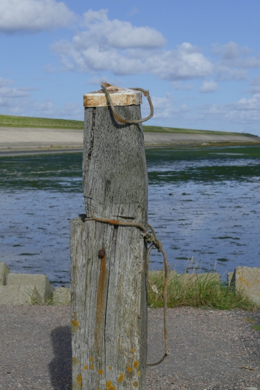 texel dag 1 2016_18.jpg - Texel dag 1