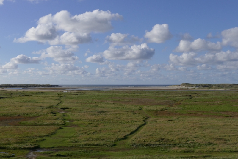 texel dag 1 2016_28.jpg - Texel dag 1