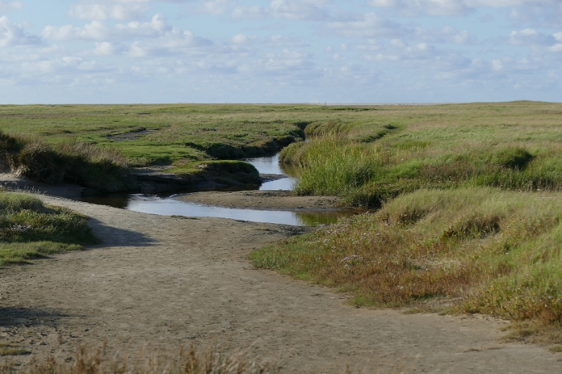 texel dag 1 2016_29.jpg - Texel dag 1