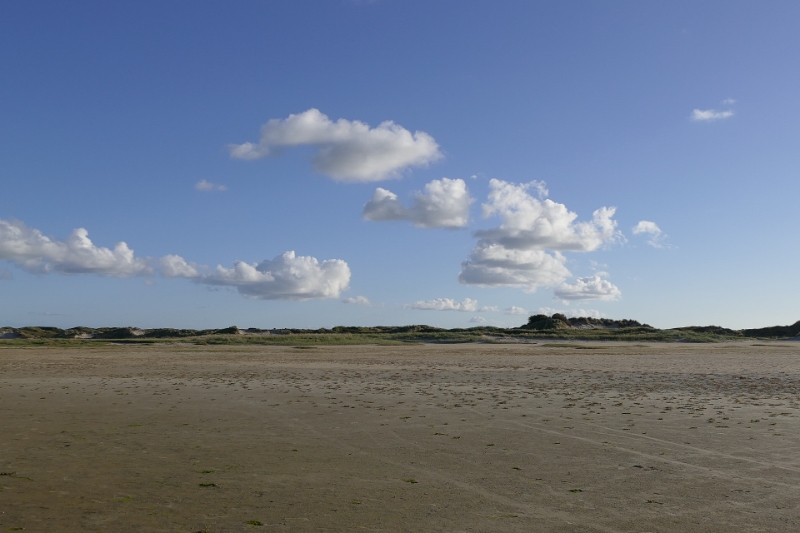 texel dag 1 2016_31.jpg - Texel dag 1