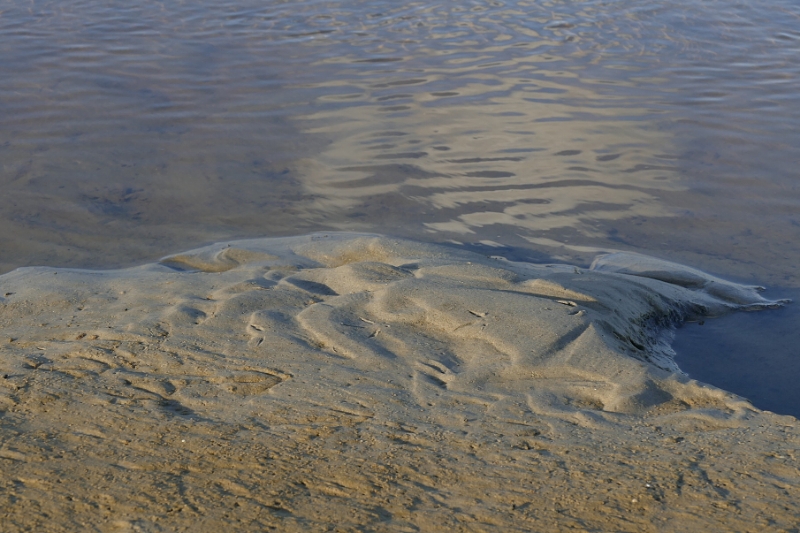 texel dag 1 2016_32.jpg - Texel dag 1