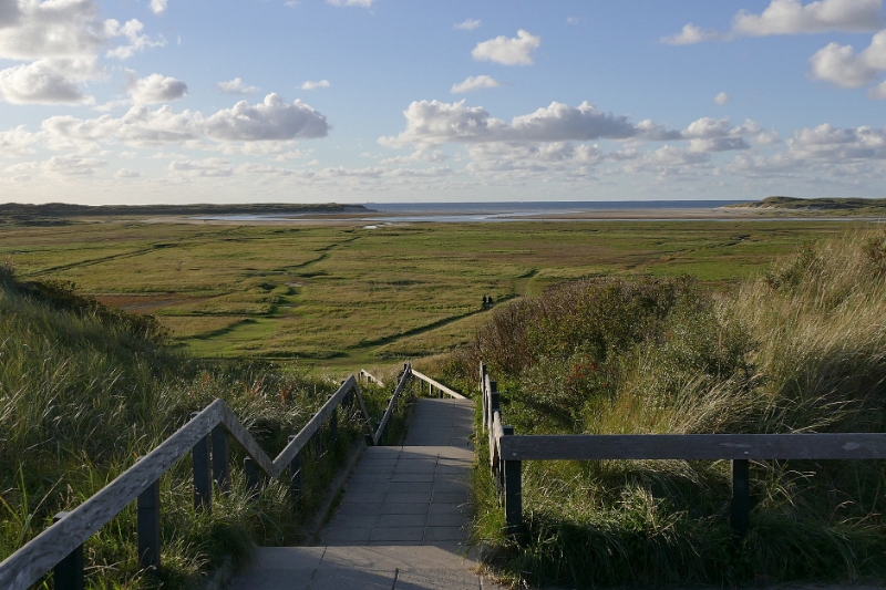 texel dag 1 2016_34.jpg - Texel dag 1