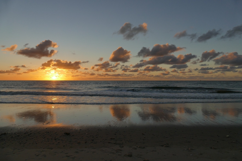 texel dag 1 2016_38.jpg - Texel dag 1