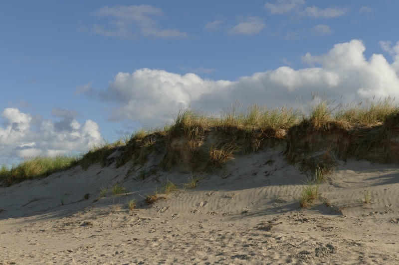 texel dag 2 2016_02.jpg - Texel dag 2