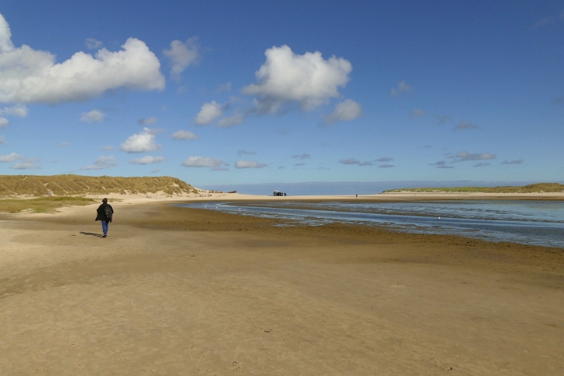 texel dag 2 2016_04.jpg - Texel dag 2