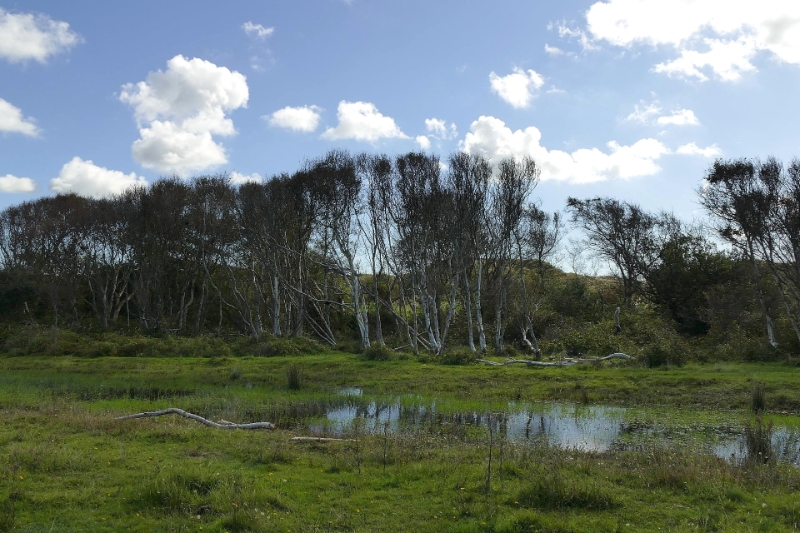 texel dag 2 2016_15.jpg - Texel dag 2