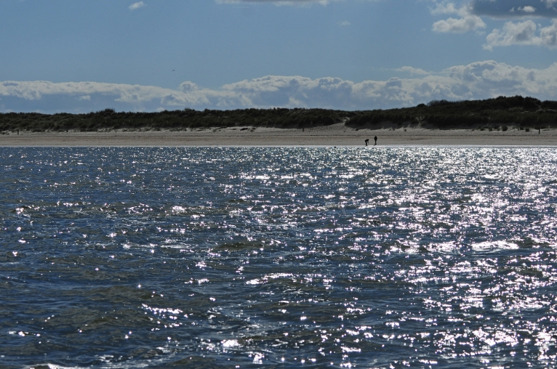 texel dag 2 2016_17.jpg - Texel dag 2