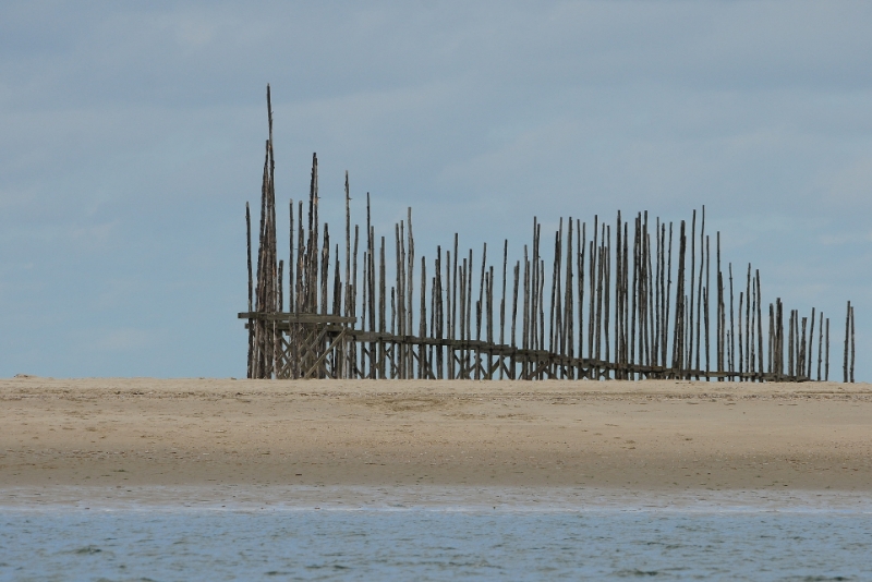 texel dag 2 2016_19.jpg - Texel dag 2