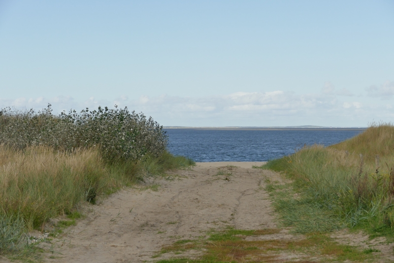 texel dag 2 2016_33.jpg - Texel dag 2