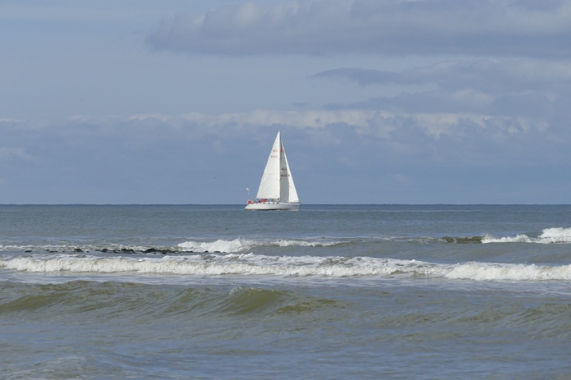 P1060325.jpg - Texel dag 3