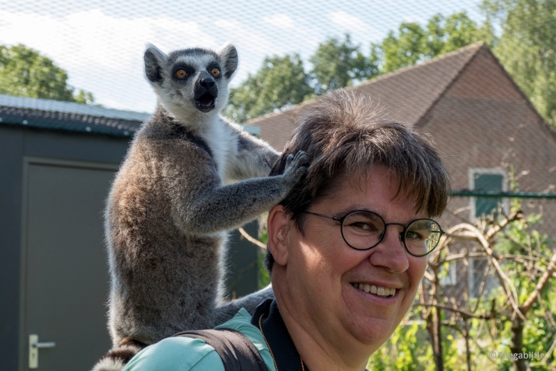 bdP1020276.JPG - Dierenrijk 11 juli 2015