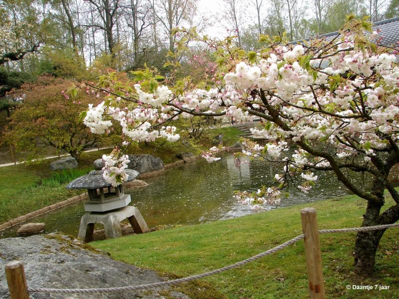 bdDSC00409.JPG - Foto's Daantje 7 jaar in Japanse tuin Hasselt 2019