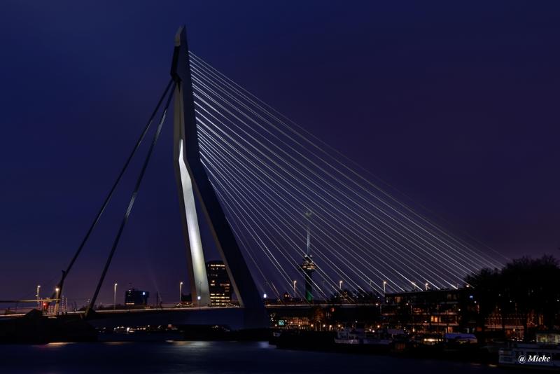bdrotterdam 2020 09.JPG - Rotterdam 2020
