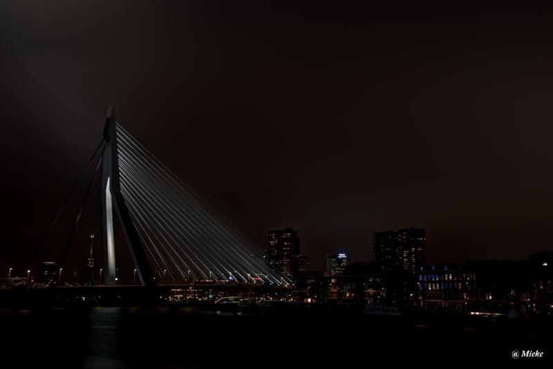 bdrotterdam 2020 11.JPG - Rotterdam 2020