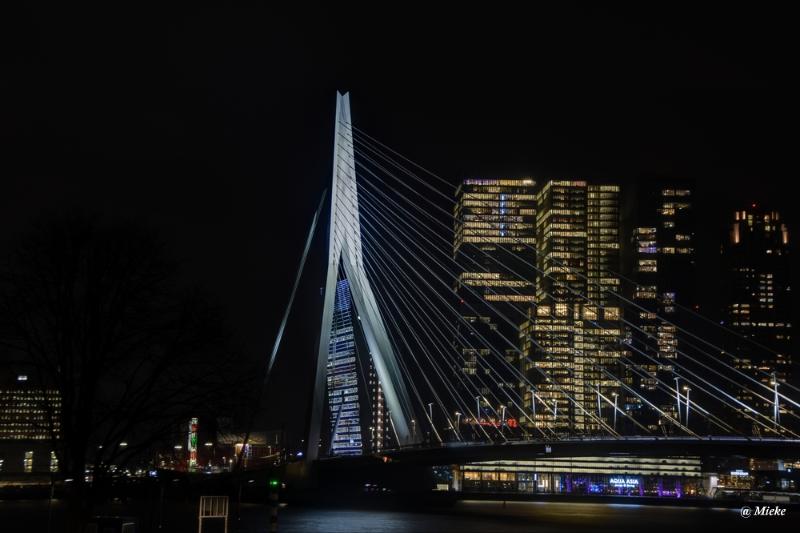 bdrotterdam 2020 15.JPG - Rotterdam 2020