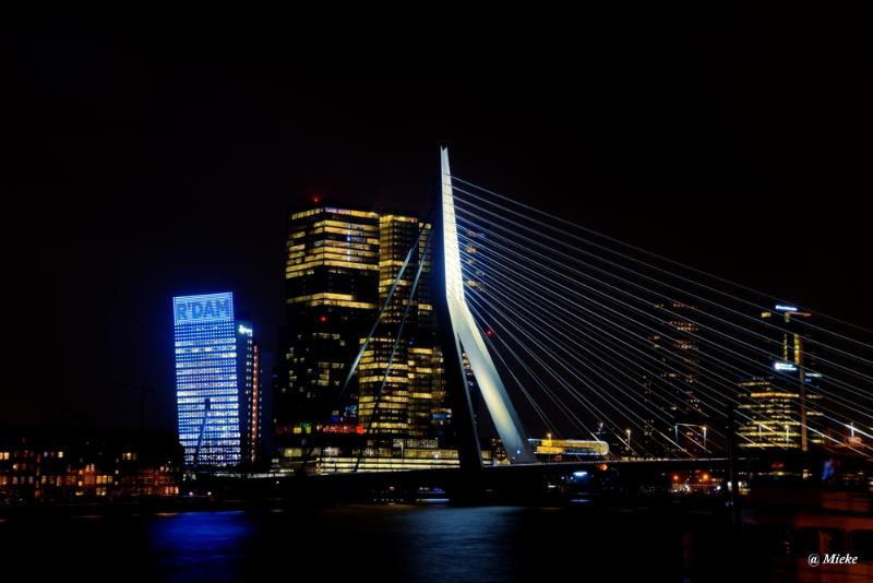 bdrotterdam 2020 17.JPG - Rotterdam 2020