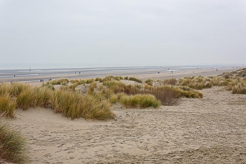 DSC_0399.jpg - Belgische kust